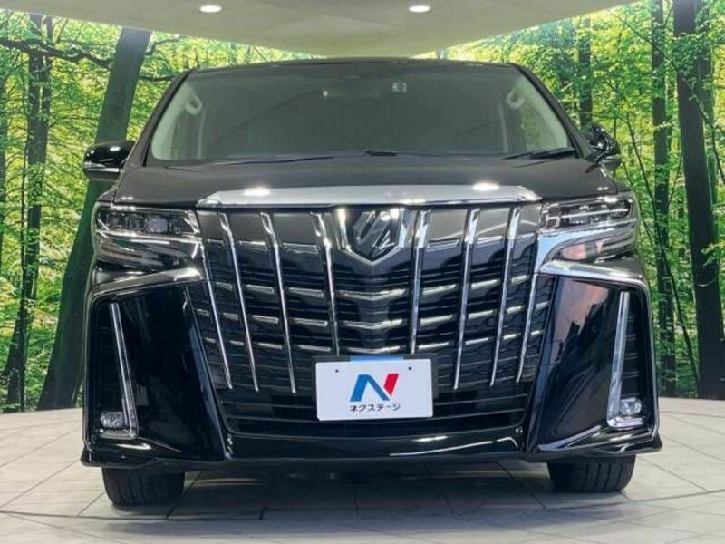 ALPHARD-15