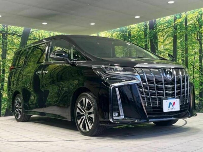 ALPHARD-17