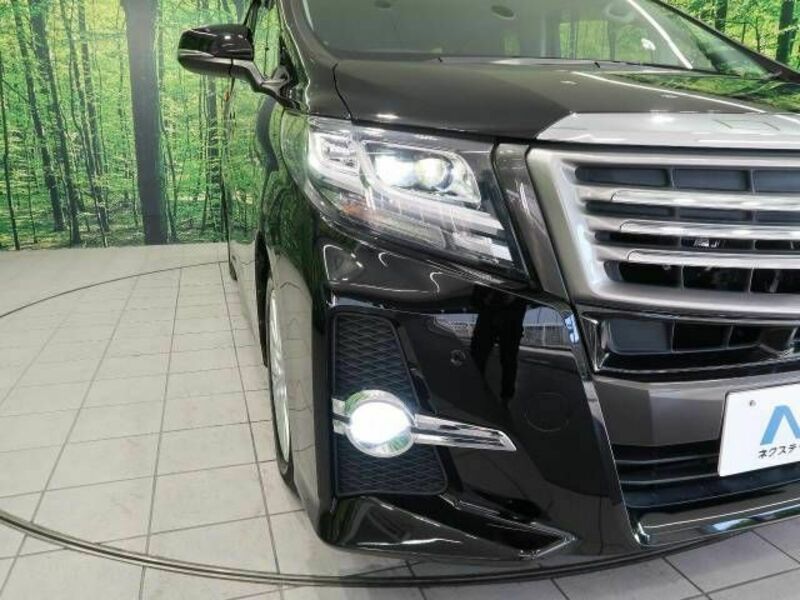 ALPHARD-13