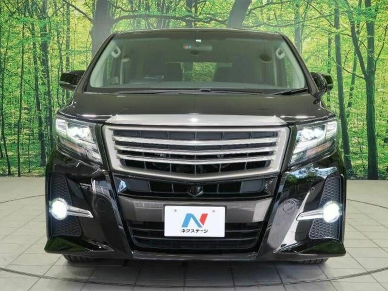 ALPHARD-15