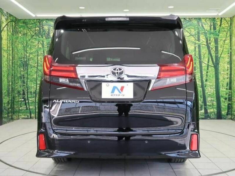 ALPHARD-16