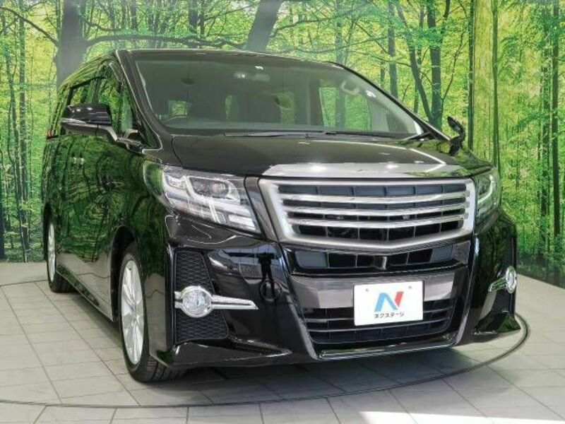 ALPHARD-17