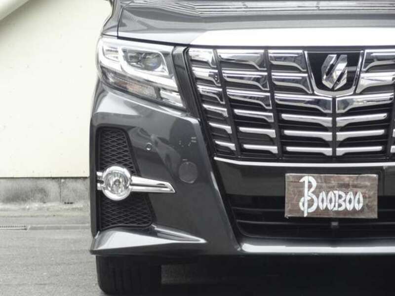 ALPHARD-7