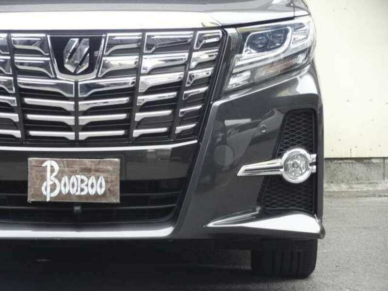 ALPHARD-8