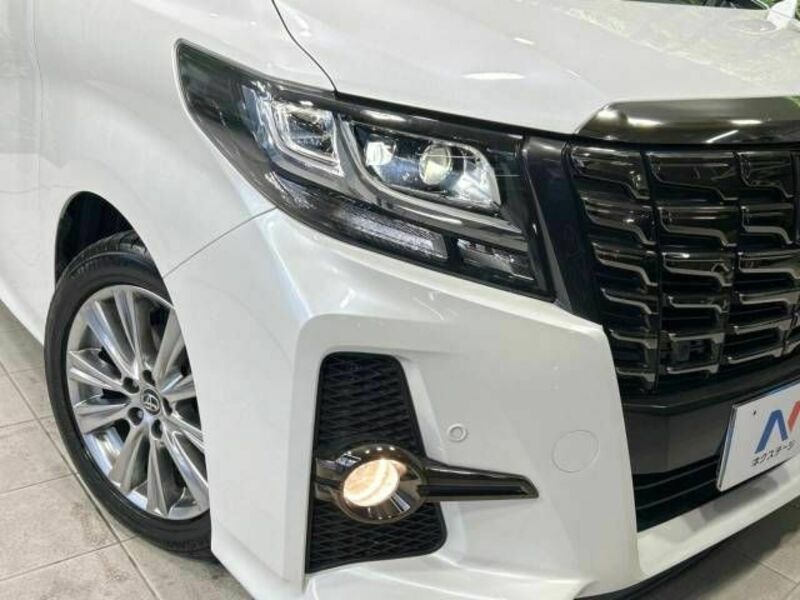 ALPHARD-12