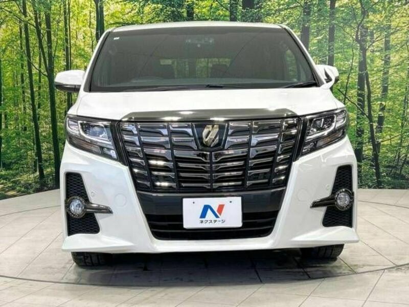 ALPHARD-14