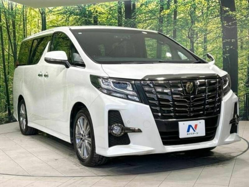 ALPHARD-16