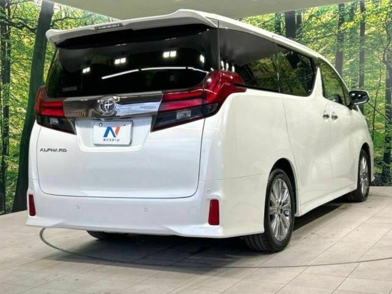 ALPHARD-17