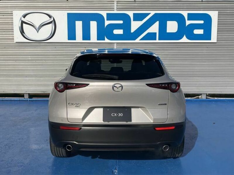 CX-30-6