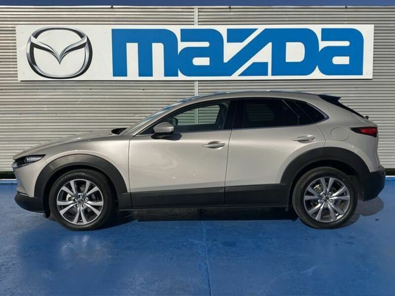 CX-30-8