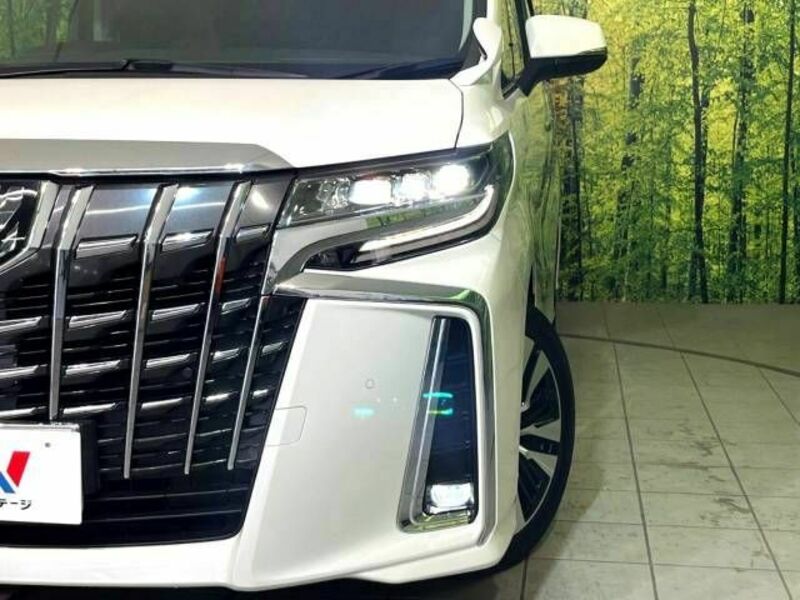 ALPHARD-13