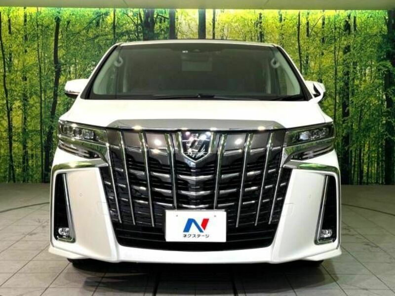 ALPHARD-15