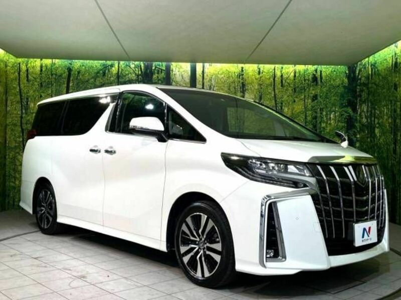 ALPHARD-17