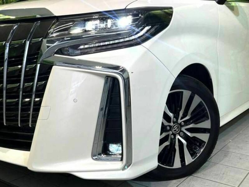 ALPHARD-13