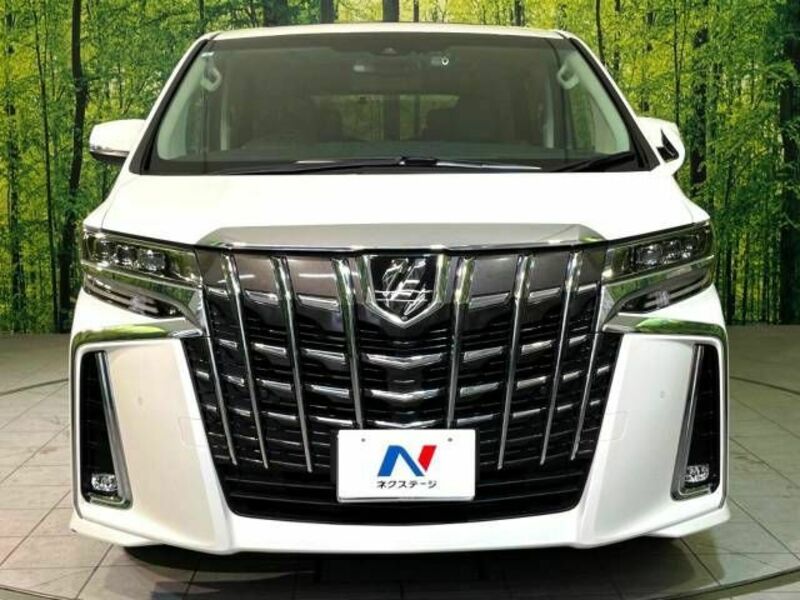 ALPHARD-15