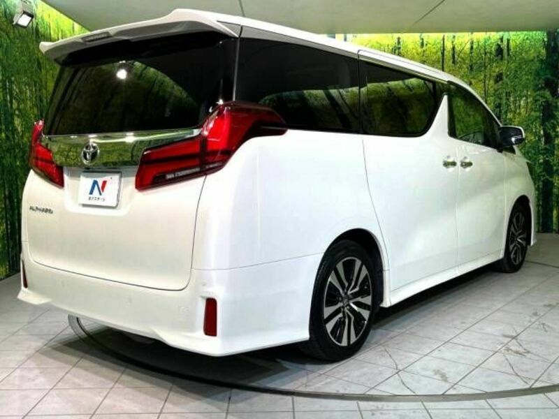 ALPHARD-18