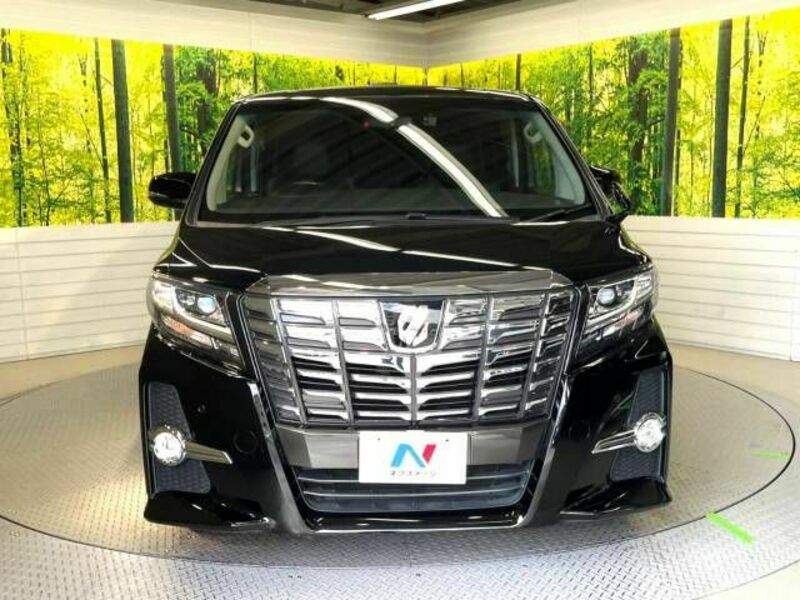 ALPHARD-15