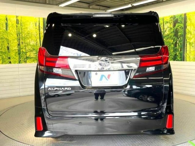 ALPHARD-16