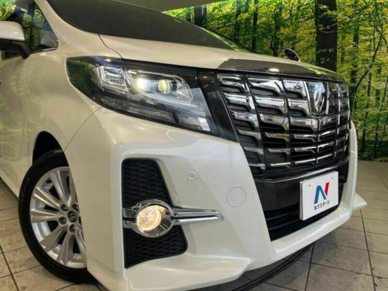 ALPHARD-13