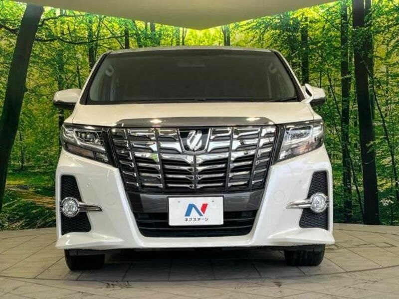 ALPHARD-15