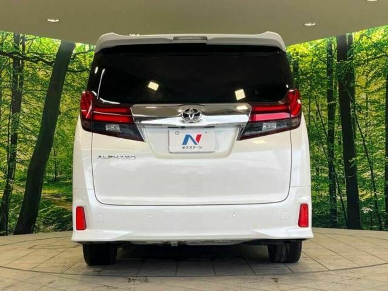 ALPHARD-16