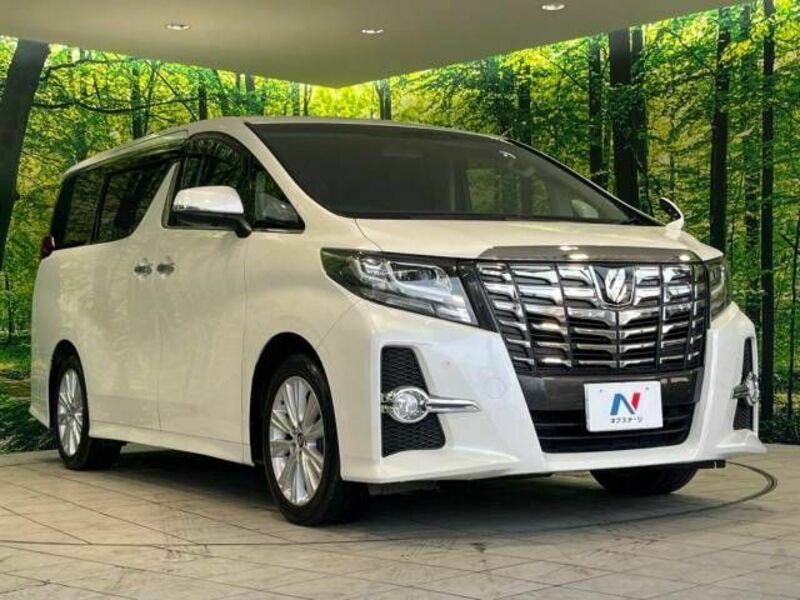 ALPHARD-17