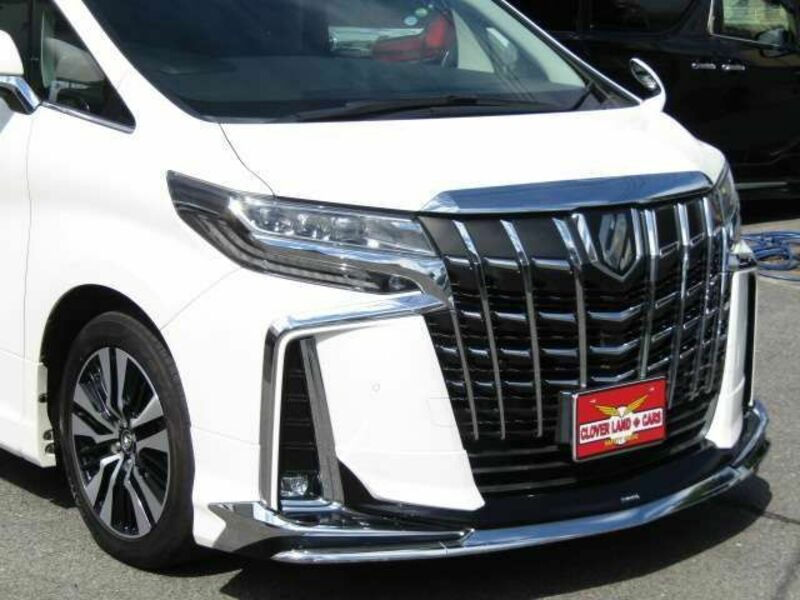 ALPHARD-18