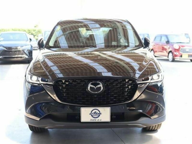 CX-5-29