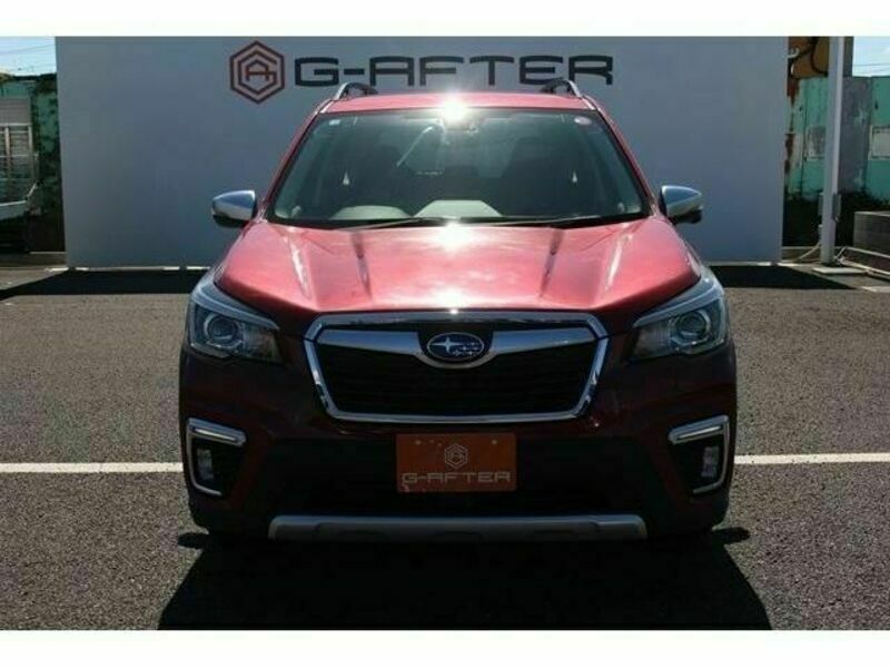 FORESTER-6