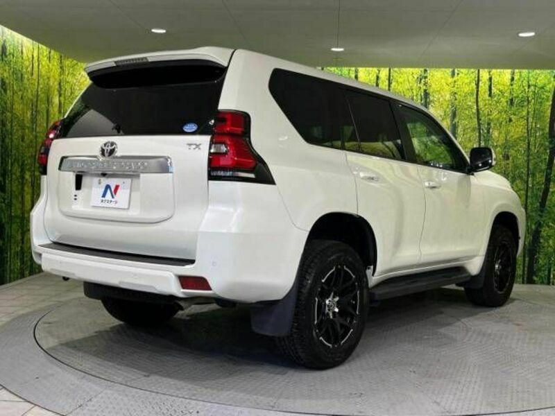 LAND CRUISER PRADO-17