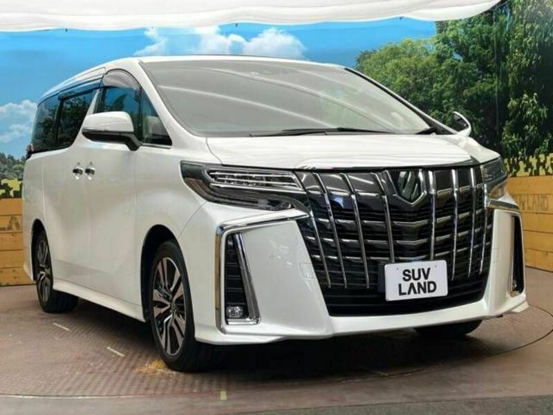 ALPHARD-17