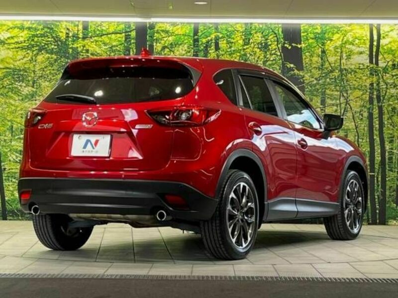 CX-5-17