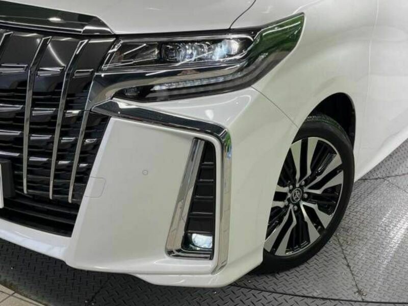 ALPHARD-13