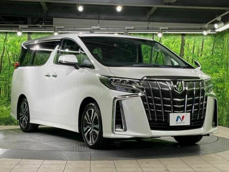 ALPHARD-17