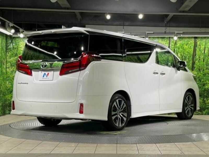 ALPHARD-18