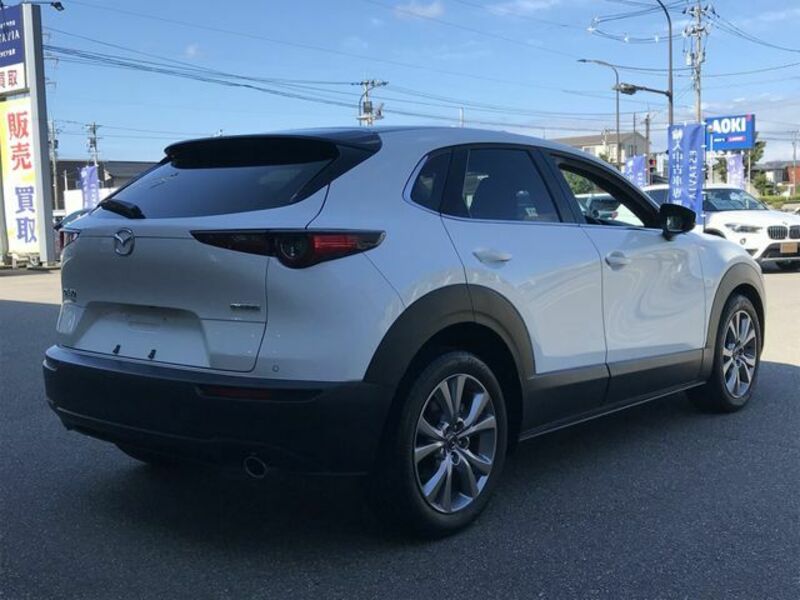 CX-30-2