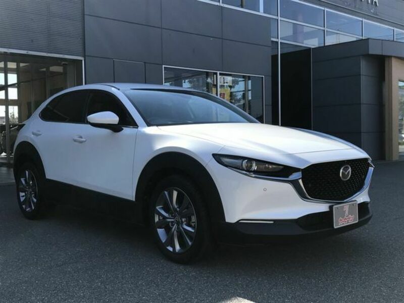 CX-30-4