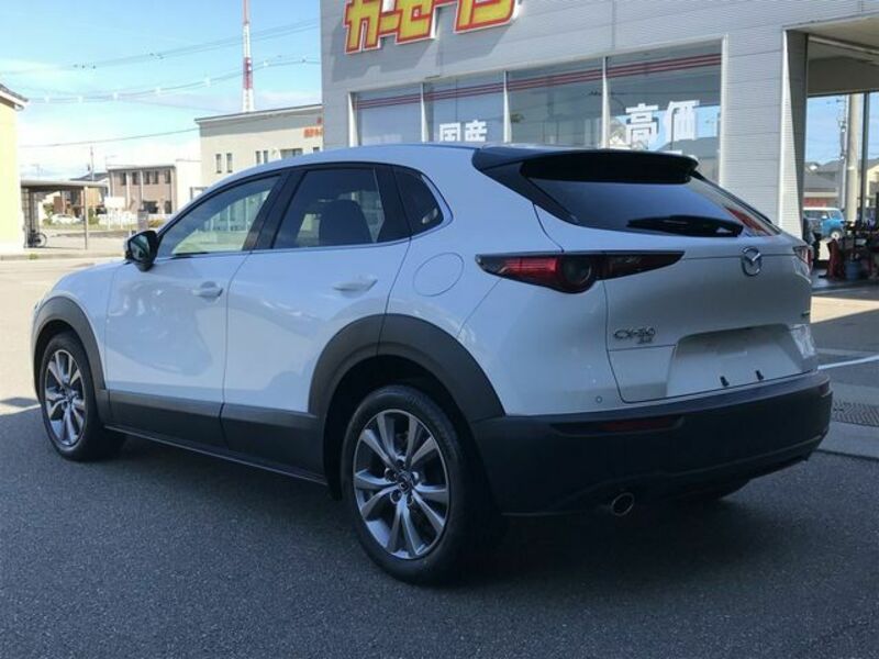 CX-30-7