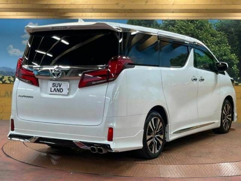 ALPHARD-17