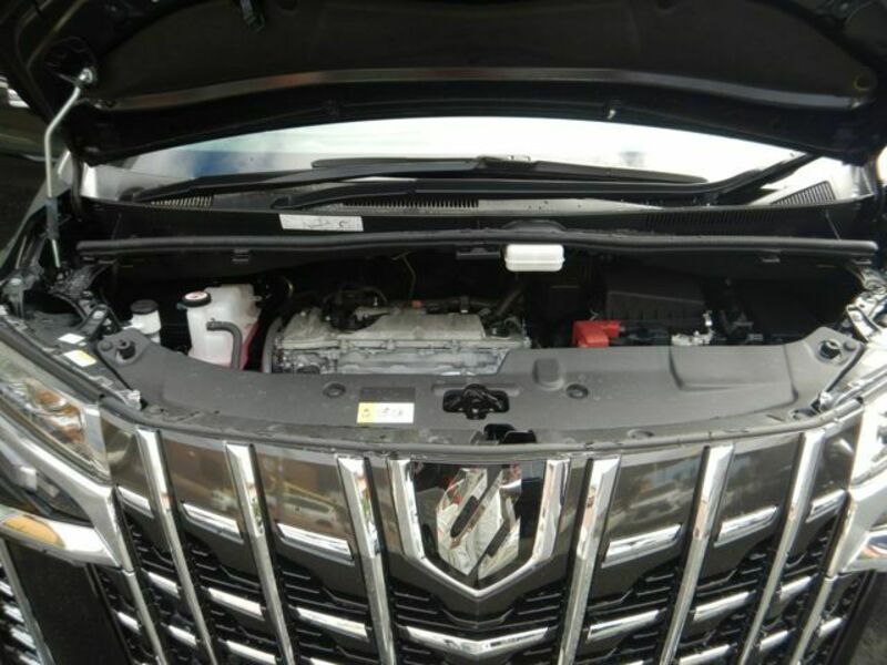 ALPHARD-20