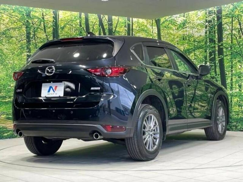 CX-5-17