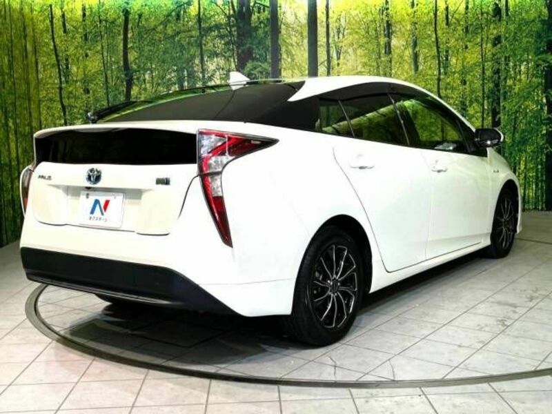 PRIUS-17