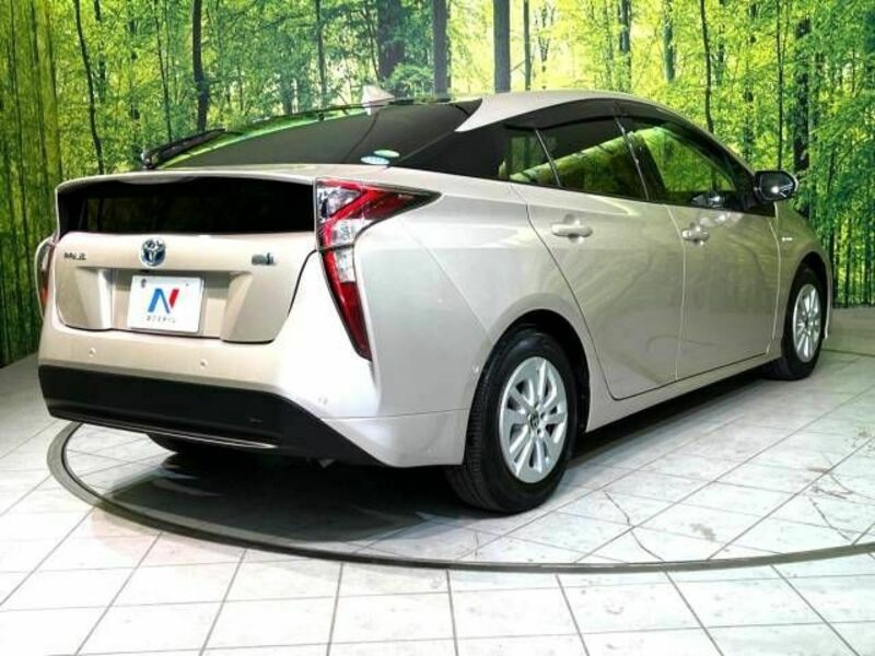 PRIUS-17