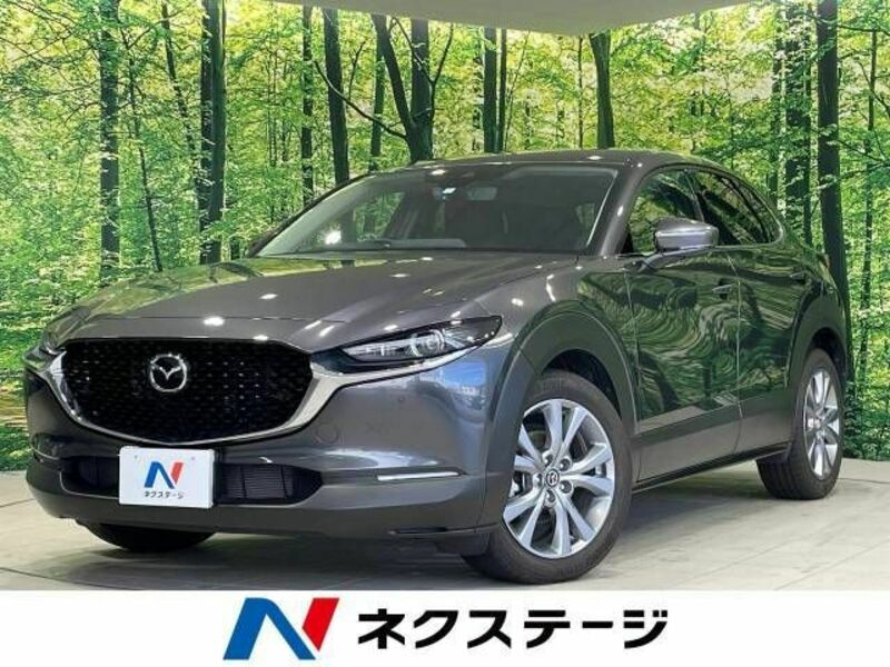 CX-30