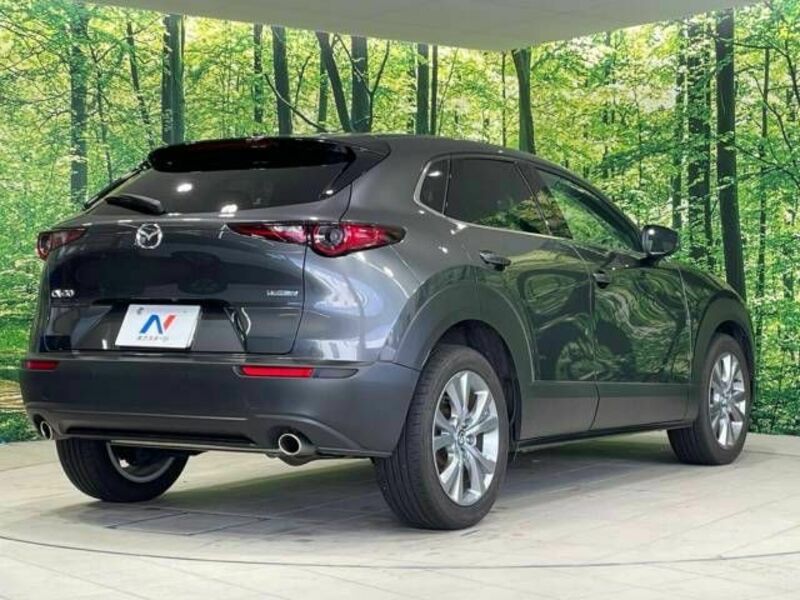 CX-30-17