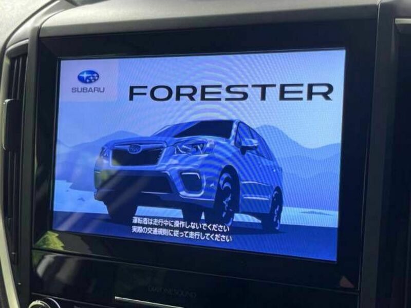 FORESTER-3