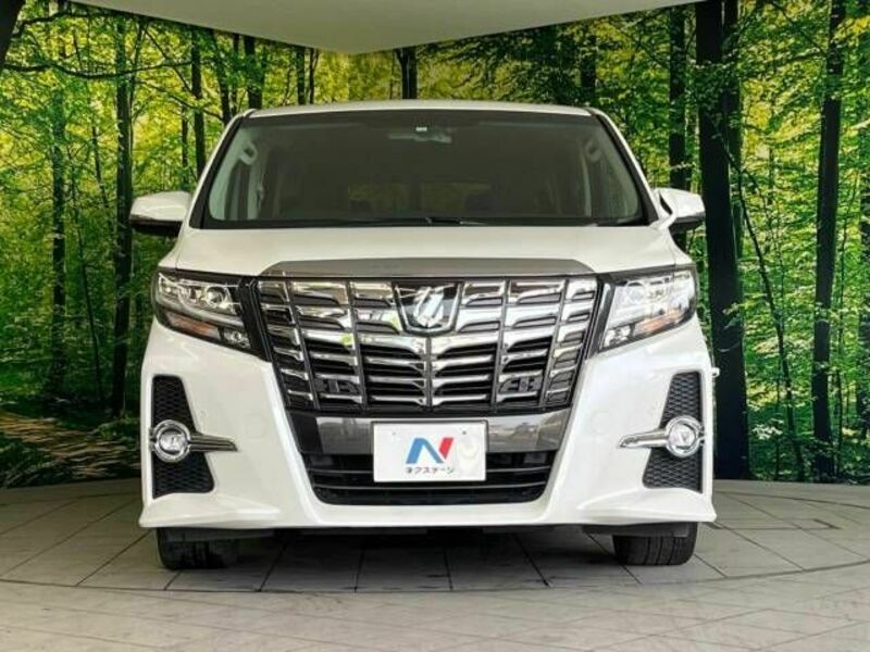 ALPHARD-15