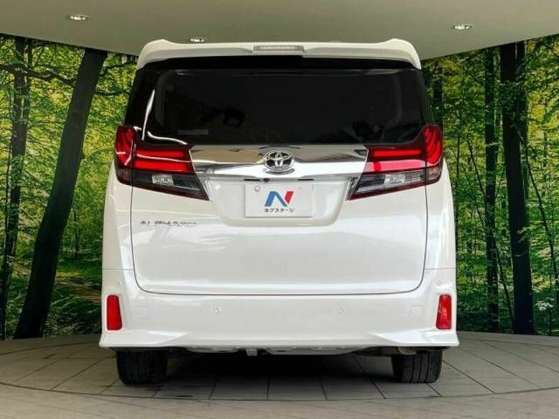 ALPHARD-16