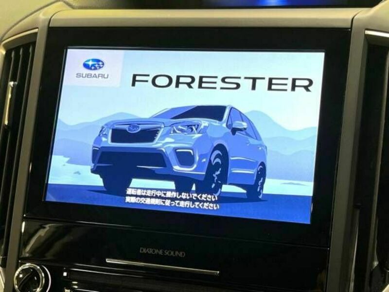 FORESTER-4