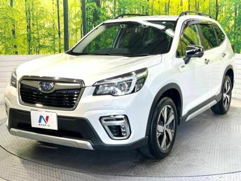 FORESTER-16